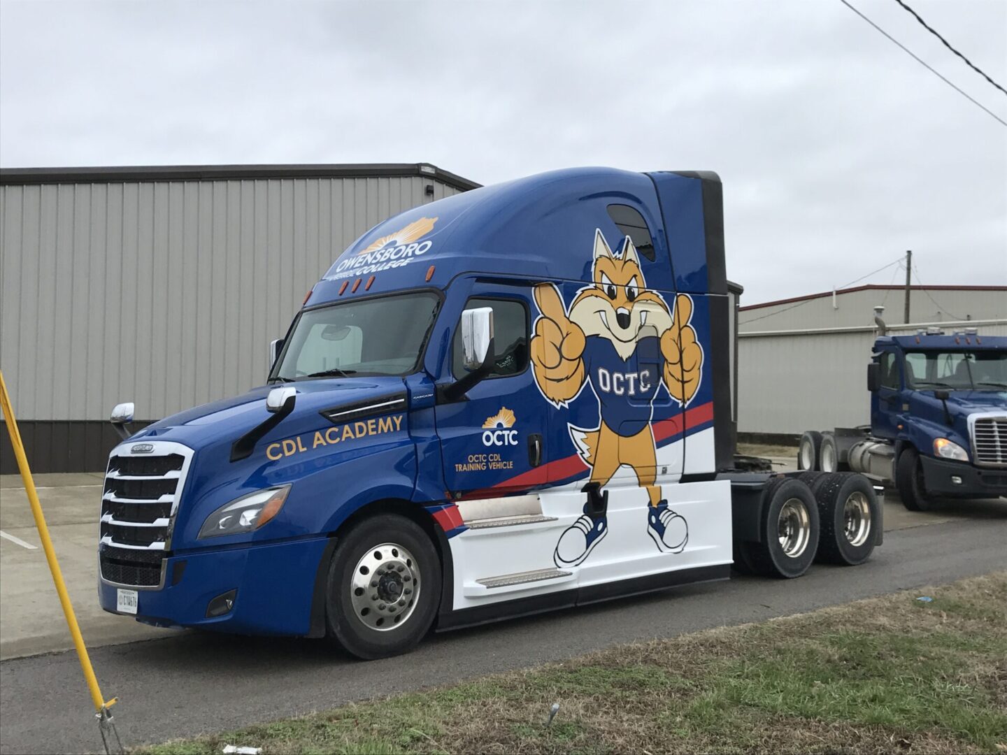 A blue semi truck with a large yellow and white bear on the side.